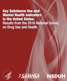 The National Survey on Drug Use and Health report cover